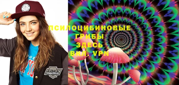 спиды Алексин