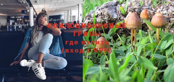 каннабис Алексеевка