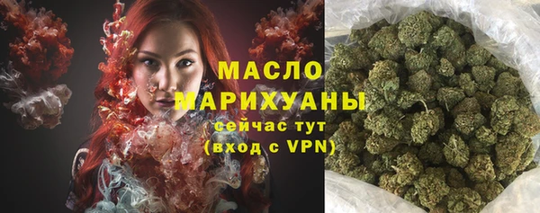 гидра Покачи