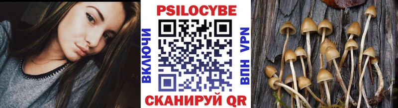 купить наркотик  Бердск  omg как войти  Псилоцибиновые грибы прущие грибы 
